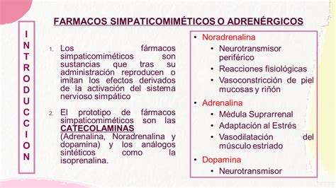 Receptores Adrenergicos Farmacologia