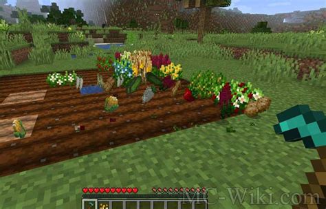 Pams HarvestCraft 2 Crops Mod Minecraft MC Wiki