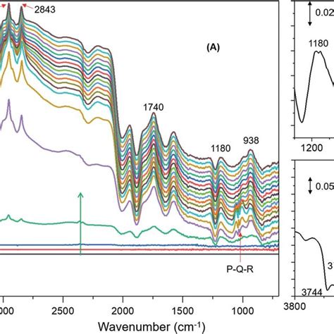 Infrared Difference Spectra Of H Zsm 5 With A Methanol Loading Of 1