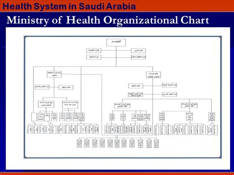 Ministry Of Health Organizational Chart Minga