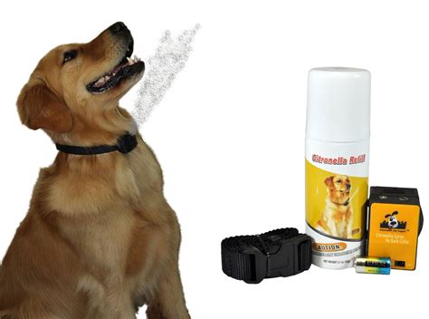 citronella bark collar for small dogs - Dog N Treats