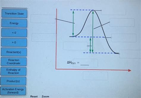 Solved Label The Following Reaction Coordinate Diagram Chegg