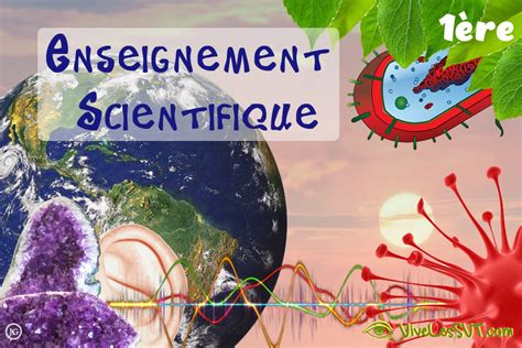 Banque de sujets Enseignement scientifique 1ère 38 sujets en ligne