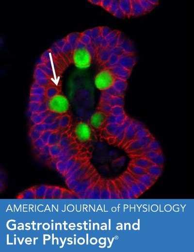 Biomarkers For Assessment Of Intestinal Permeability In Clinical