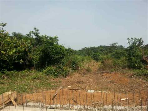 20 Acres Of Farmland In Ogun State For Sale At 120 Million Naira