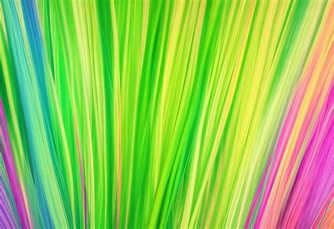 Premium AI Image | Colorful grass texture background