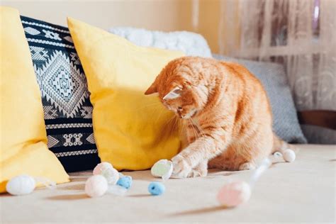 783 Cat Playing Easter Eggs Royalty-Free Photos and Stock Images | Shutterstock