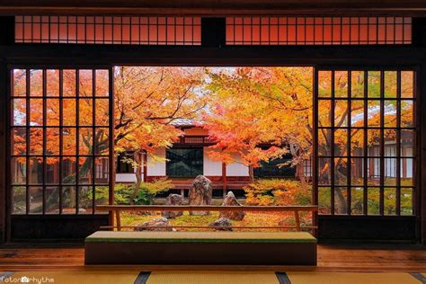 roundscape 建仁寺の紅葉 2021 autumn leaves Kennin ji