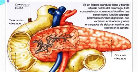 SINDROME DE TURNER: TRATAMIENTO