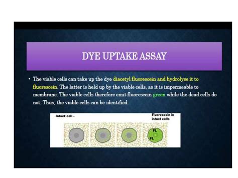 Cell Viability Assays Ppt Free Download