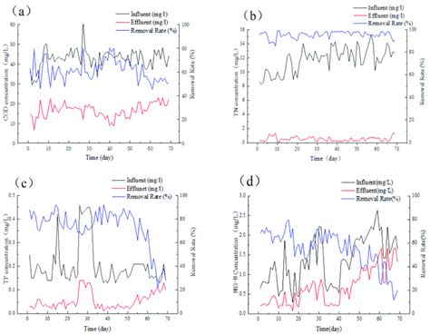 Influent And Effluent Concentration And Removal Efficiency Of A COD