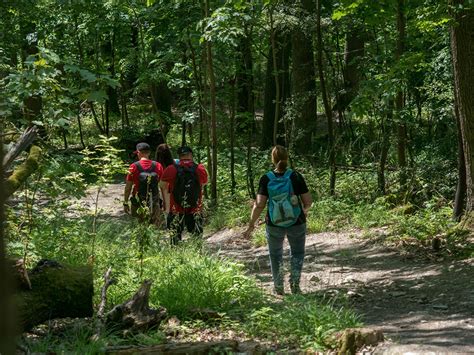 Heilklima Wanderweg Tillmannsweg Tw K Nigstein Im Taunus