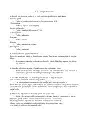 Lab Practical Key Concepts Key Concepts Endocrine A Identify One