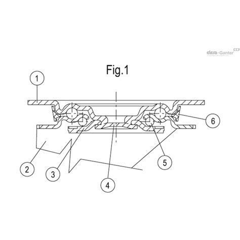 RE F1 125 FBF SST N Kopen Bestel Bij Elesa Ganter B V