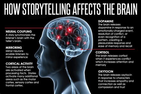 Story Power The Psychology Of Story Dr Pam Media Psychologist