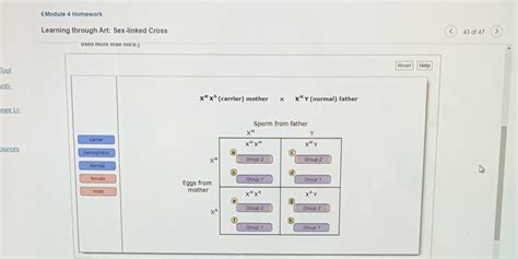 Solved Can You Correctly Label The Phenotypes