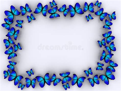 Butterfly border stock illustration. Illustration of conceptual - 3492682