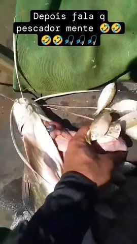 Ningu M Acreditaria Se N O Fosse Filmado Pesca Pescaria Pescador