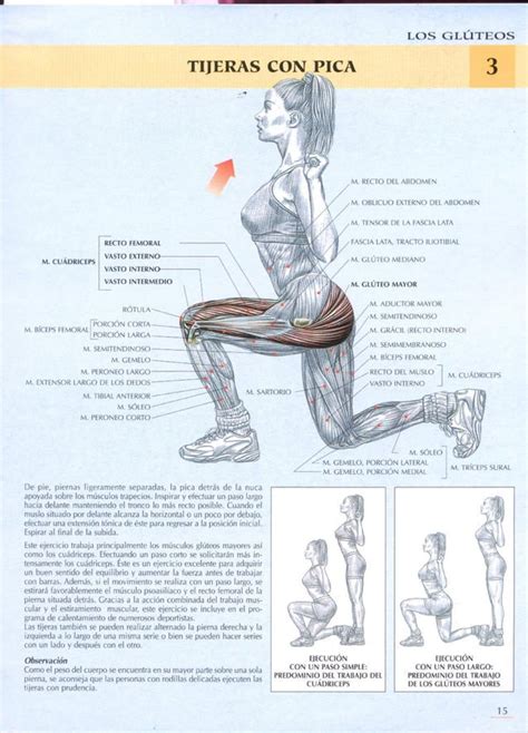 Gu A Movimientos De Musculaci N Mujeres Pdf Descarga Gratuita