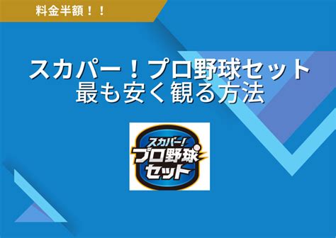 【あなたの推し球団はどこ？】プロ野球12球団の特徴と推し球団を決める方法 野球好きのロッカールーム