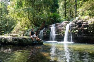 Hayman Island Resort Ultimate Guide To The Exclusive Intercontinental