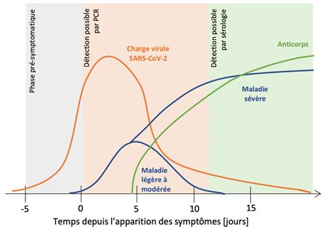 Schéma simplifié de l évolution de la charge virale de la maladie et