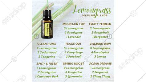 Lemongrass Diffuser Blends By Wōw Designs