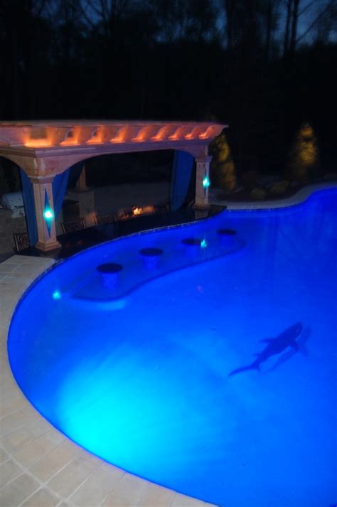 Shark Tile Gunite Pool Transitional Pool Detroit By Tango Pools