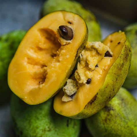 Pawpaw Fruit Recipes