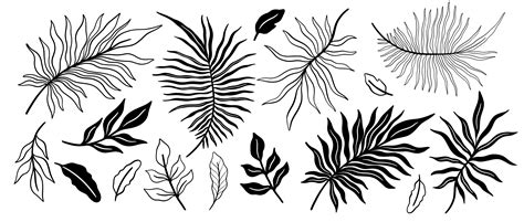 Plant Set Tropical Black And White Color By Arina Pictures Thehungryjpeg