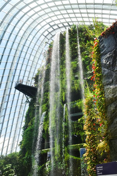 Cloud Forest waterfall 1 - Singapore by wildplaces on DeviantArt