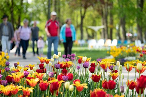 Gartenschau Balingen Endet Mehr Als 450 000 Besucher