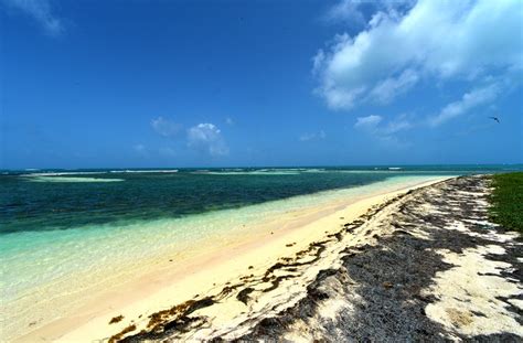 Half Moon Cay In Jamaica An Isolated Spit Of Sand Where Seabirds Nest