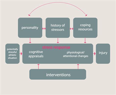 Exploring The Psychological Aspects Of Sport Injury Session 3 Figure