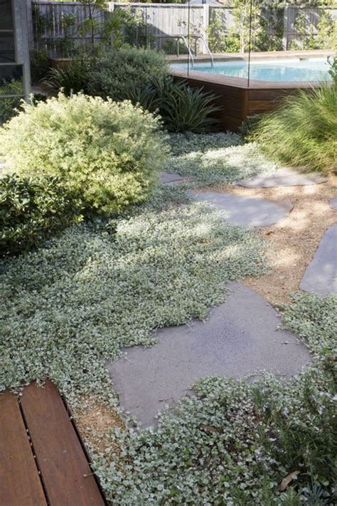 Austraian Native Garden Design Ideas Artofit