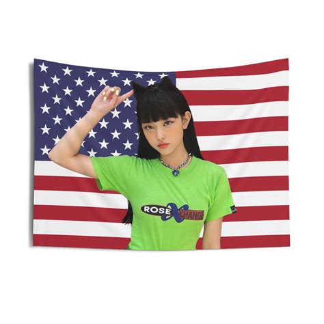 american funny home video