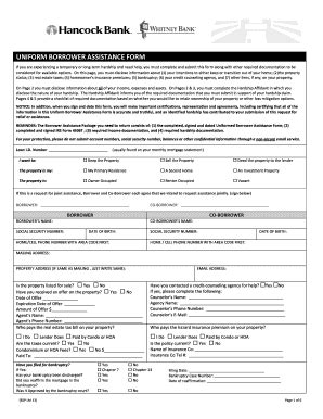 Fillable Online UNIFORM BORROWER ASSISTANCE FORM Whitney Bank Fax