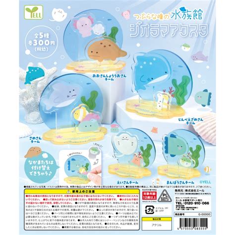 『現貨』圓眼水族館情景壓克力立牌 Yell 扭蛋 轉蛋 【蛋樂寶】 蝦皮購物