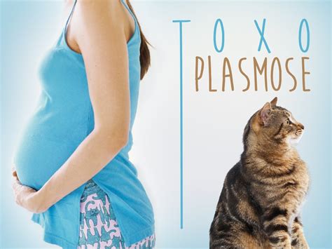 Toxoplasmose Saiba O Que E Como Evitar Inspire Sa De