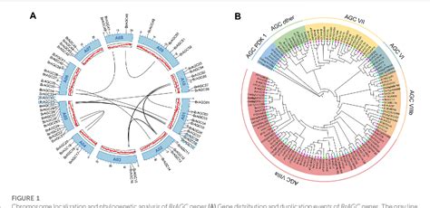 Table 1 from Genome wide identi ﬁ cation and expression analysis of