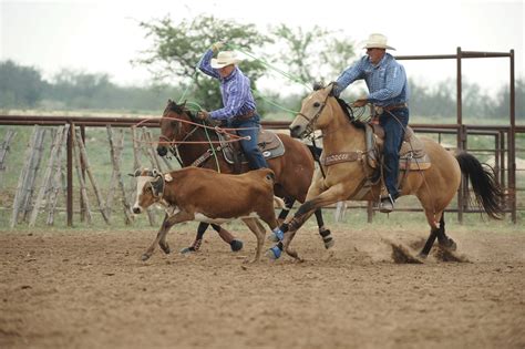 Roping.com now Powered by The Team Roping Journal