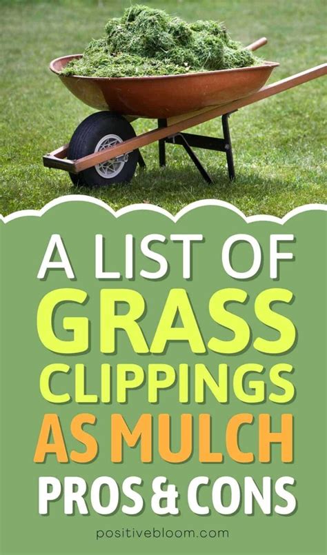 Exploring Grass Clippings As Mulch Pros And Cons