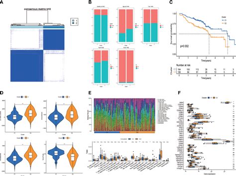 Construction Of Cell Cell Communication Related Prognostic Signature