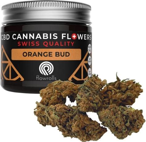 Preparat Medycyny Naturalnej Susz Konopny Cbd Orange Bud G Opinie I