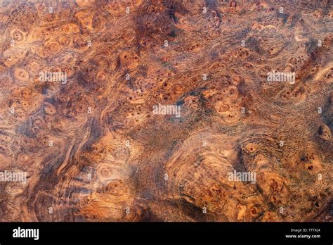 Real Burl Wood Striped For Picture Prints Interior Decoration Exotic