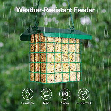 Double Suet Capacity Cage Bird Feeder Green Scenic