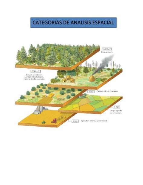 Categorias De Analisis Espacial