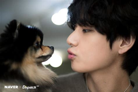 KOREA DISPATCH RELEASES PHOTOS & VIDEO OF V WITH YEONTAN | BTS Amino