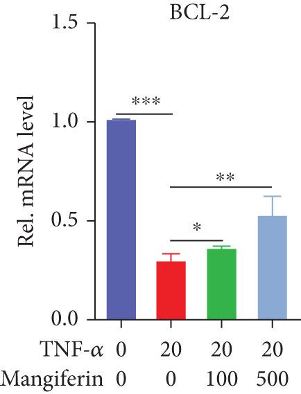 Mangiferin alleviated TNF α induced mitochondrial dysfunction