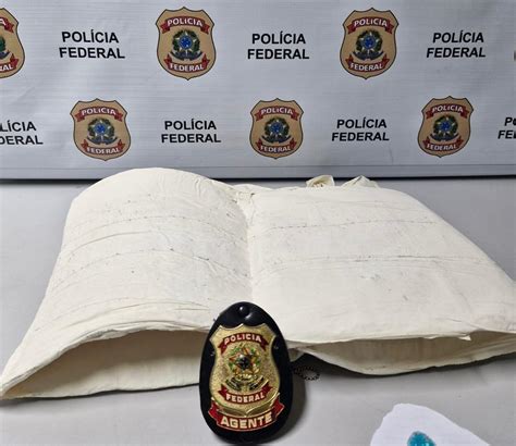 Operação Neolaia Polícia Federal Combate Crimes De Exploração Sexual